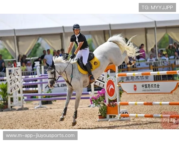 马术选手用东北话和马喊话，全网笑疯